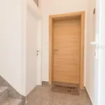 Apartment Lusani *